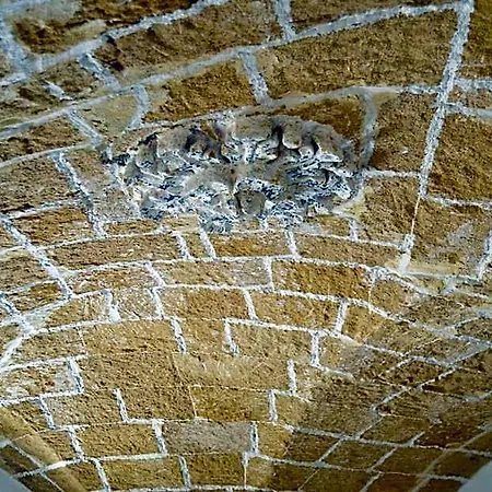 Hotel Kallistos & Gallipoli